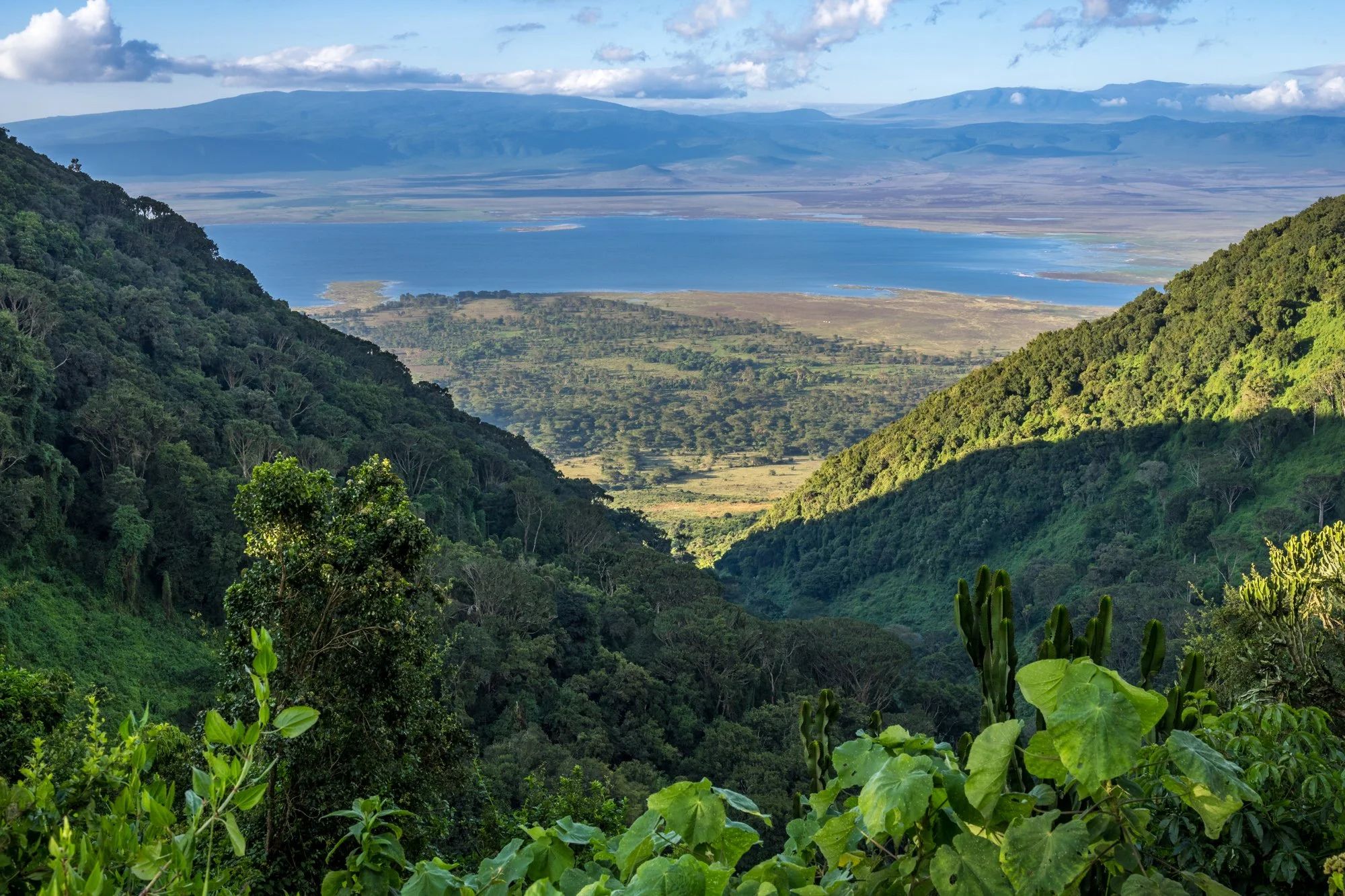 Ngorongoro highlands falling away to the crater floor